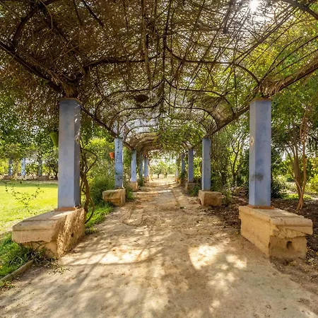 La Carrasca - Limón Casa de Campo